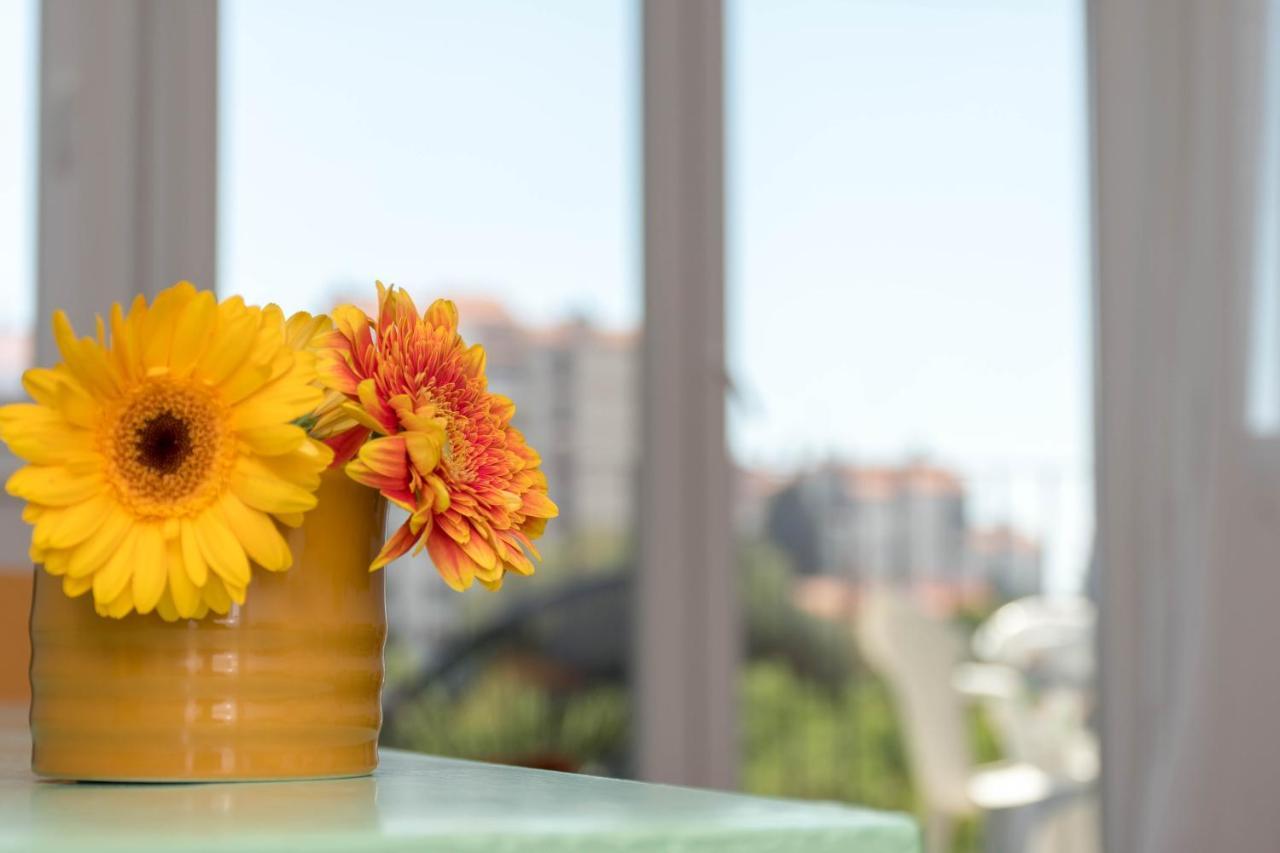 PUY Nona Mileva Apartment מראה חיצוני תמונה